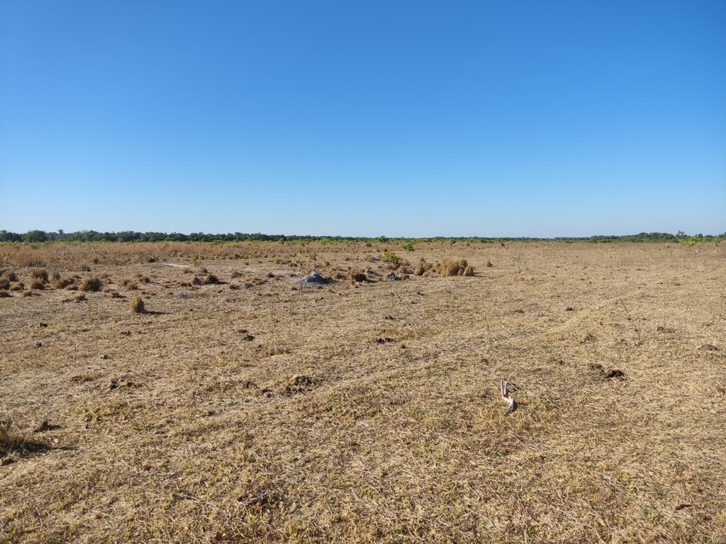 Visão sul - south view
