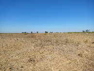 #2: Visão oeste - west view