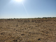 #4: Visão leste - east view