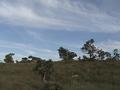 #3: Vista Leste