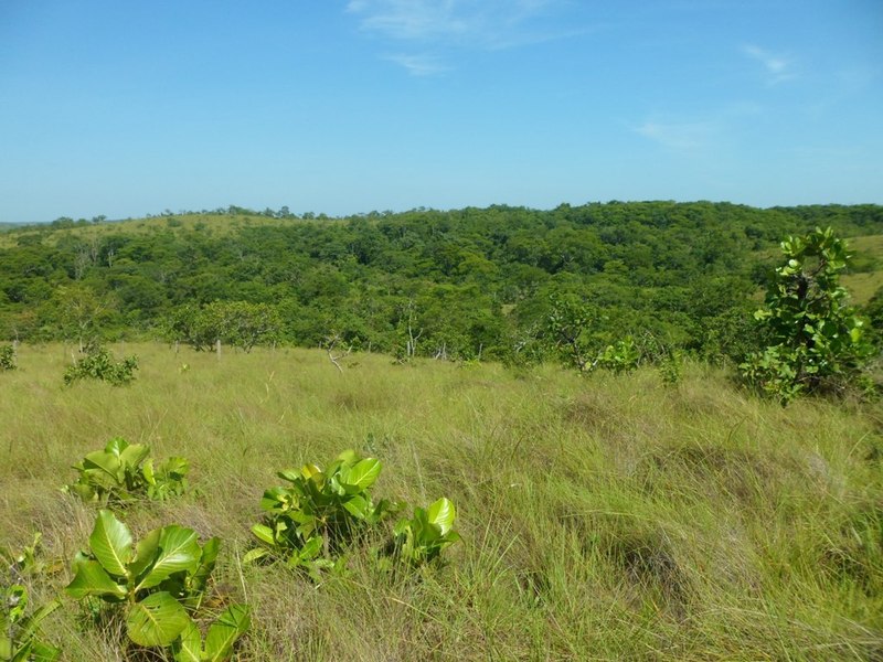 Visão geral - general view