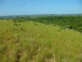 #7: Paisagem da região da confluência - landscape of confluence region