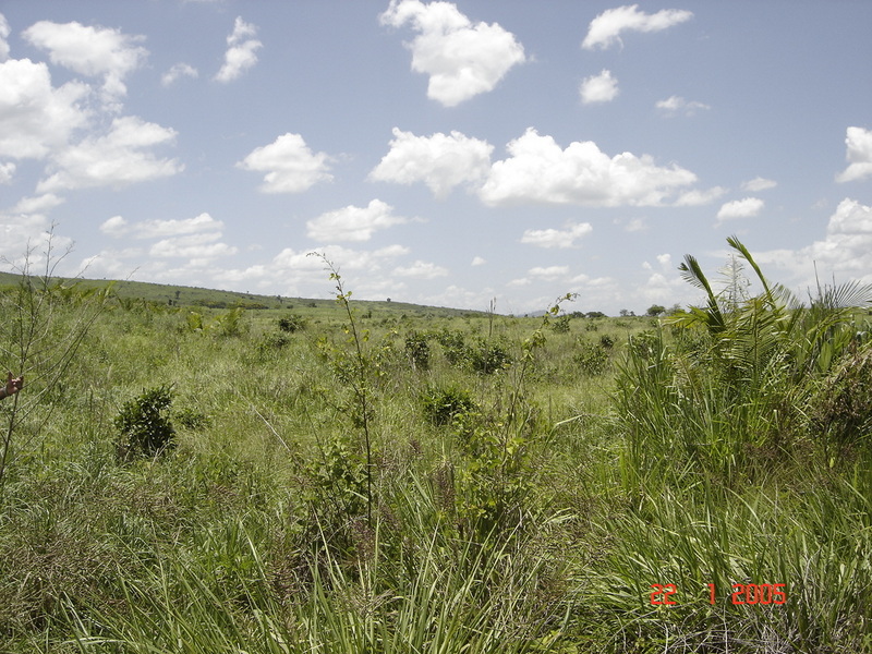 Visão oeste. West view