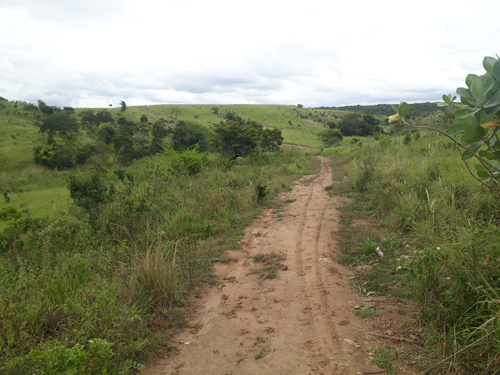 Caminhada até a confluência - hike to the confluence