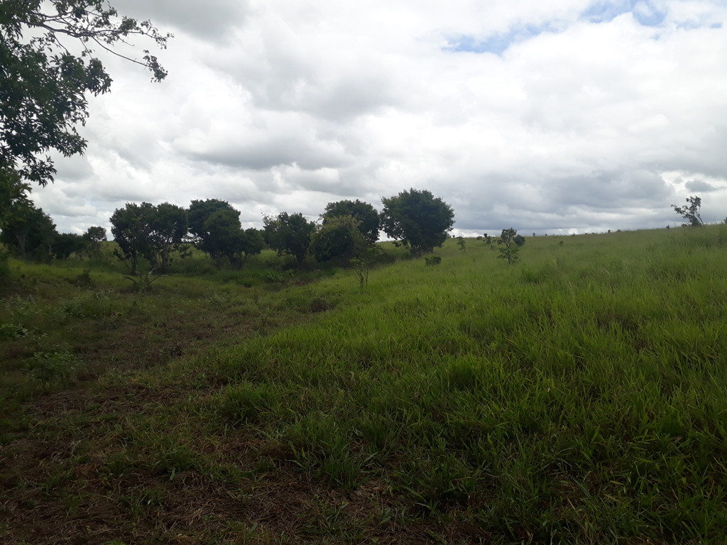 Visão norte - north view