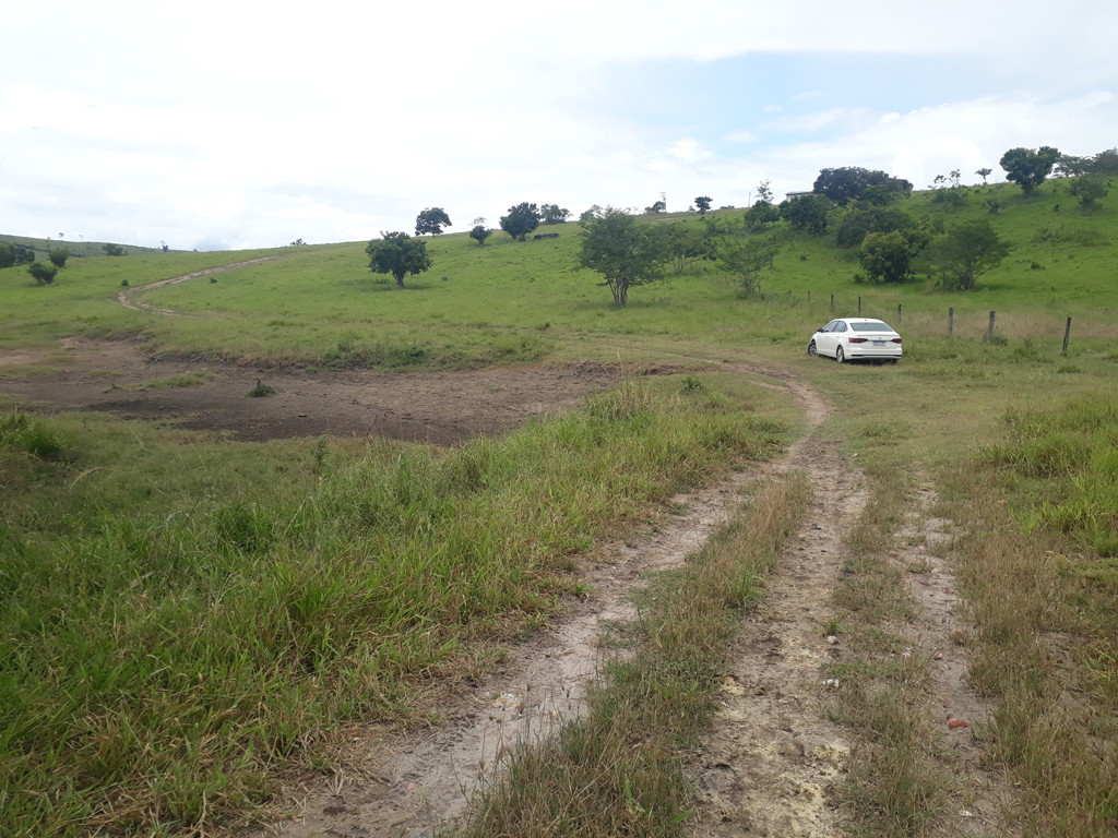 Parei o carro a 2.180 metros da confluência - I stopped the car 2,180 meters to the confluence