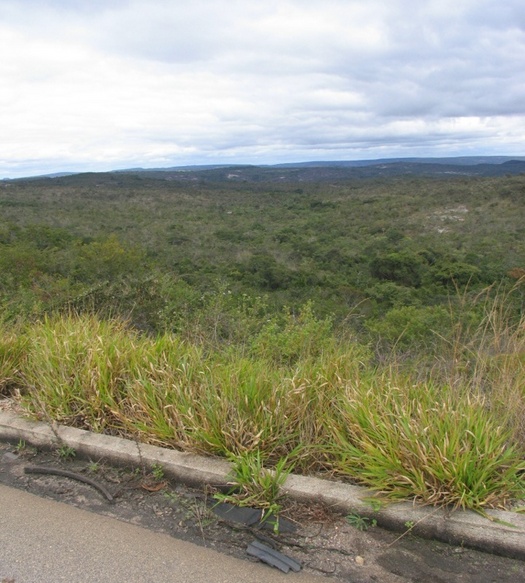 Vista da BR 251 / View from BR 251