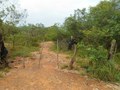 #9: Início da caminhada - beginning of hike