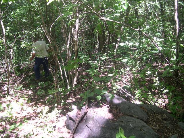 Endre looking for the confluence