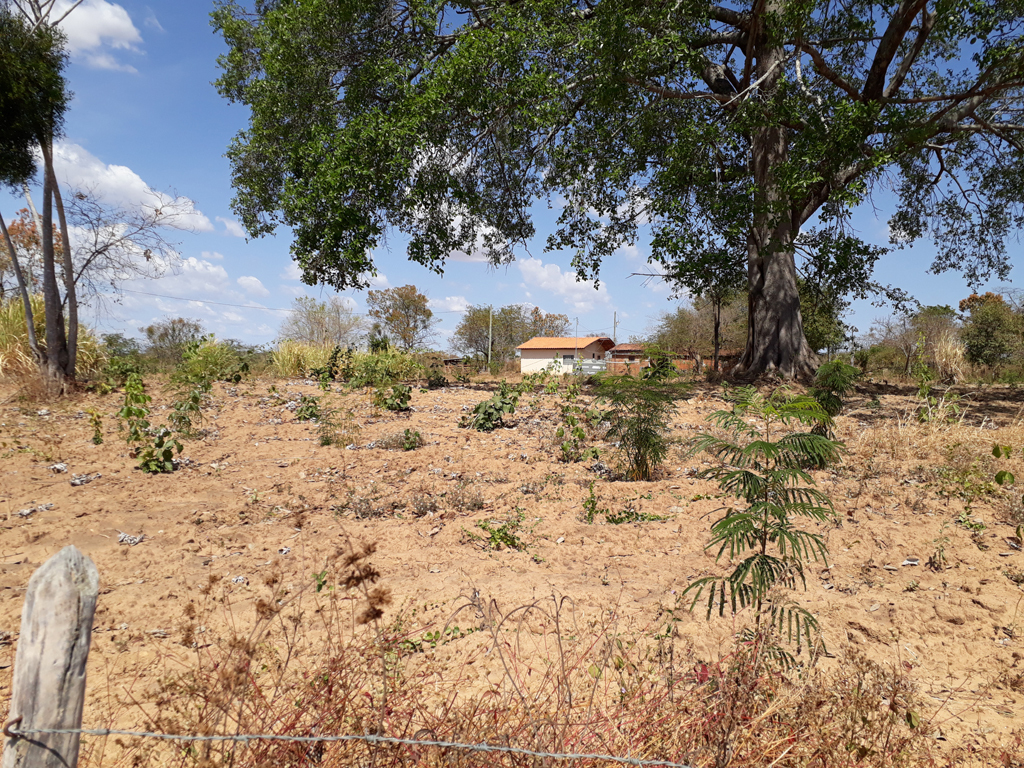 Visão sul e confluência 34 metros adiante, dentro do sítio - south view and confluence 34 meters ahead, inside the ranch