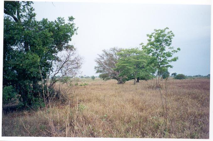 East