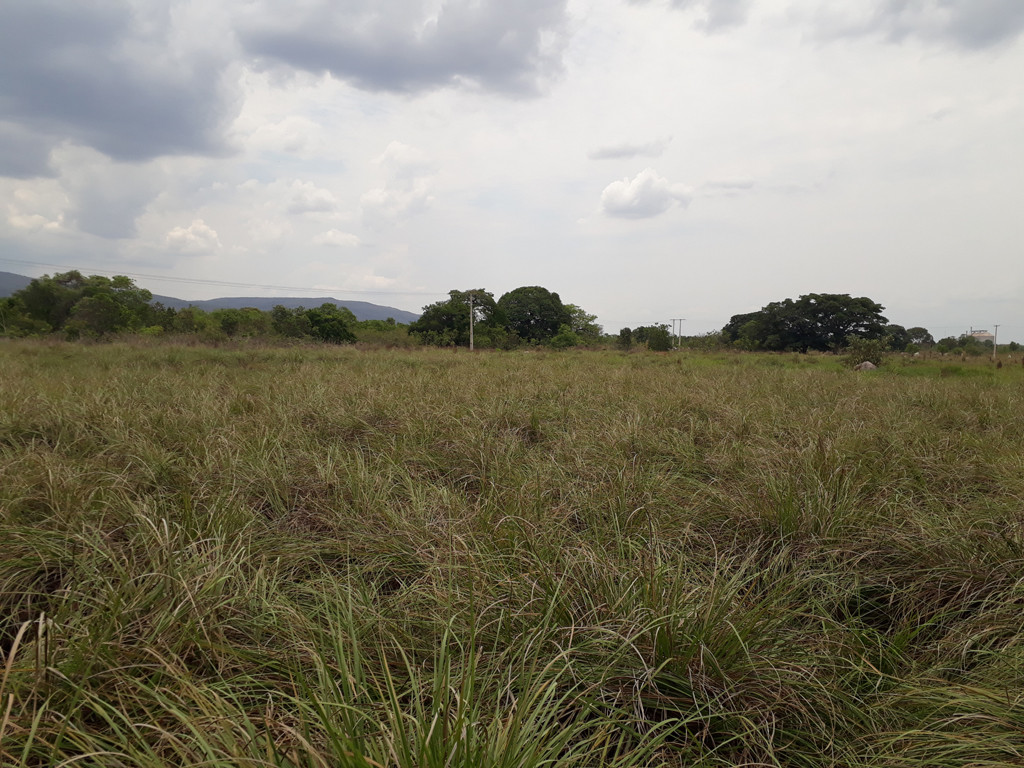 Visão geral - general view