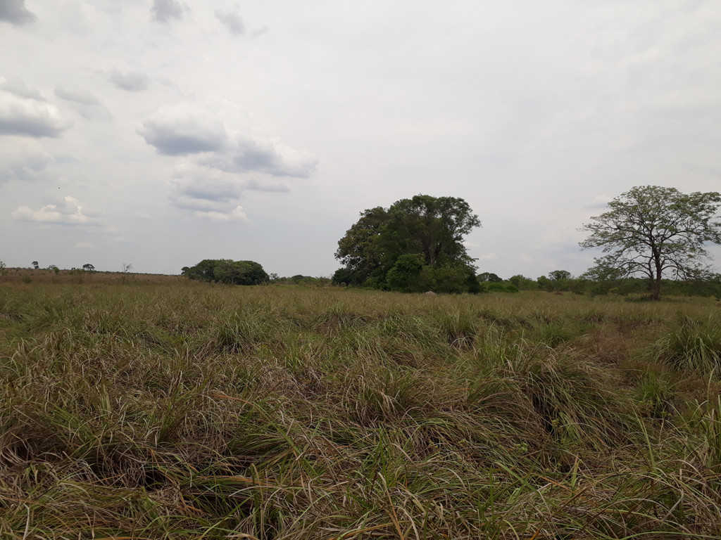 Visão sul - south view