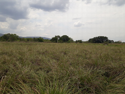 #1: Visão geral - general view