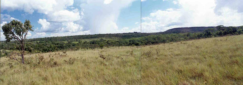 Landscape of the confluence