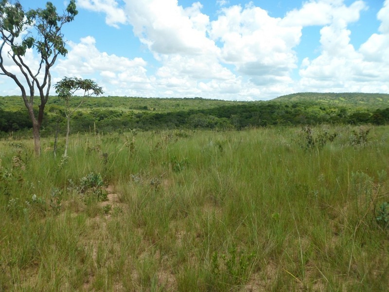 Visão oeste - west view