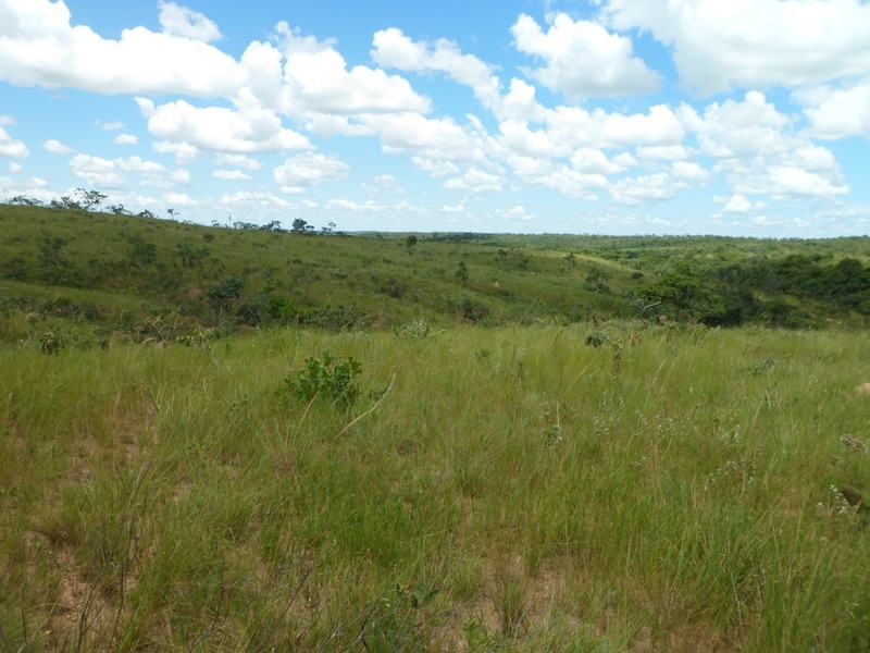 Visão sul - south view