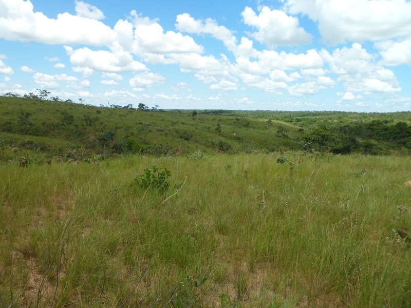 Visão sul - south view