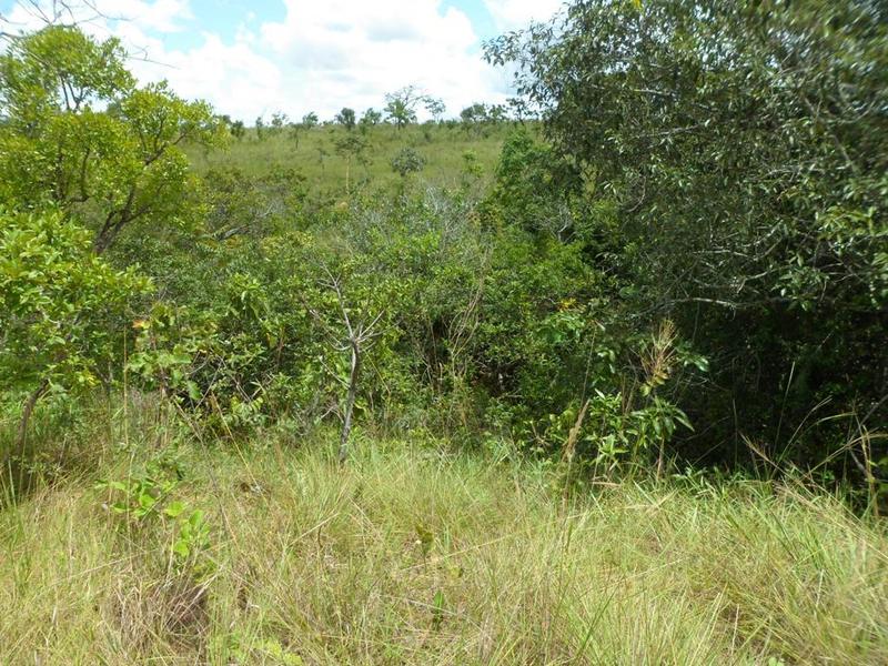 Trecho mais difícil: atravessando um fundo de vale com uma mata ciliar... - Hardest leg: crossing a bottom valley with riparian woods...