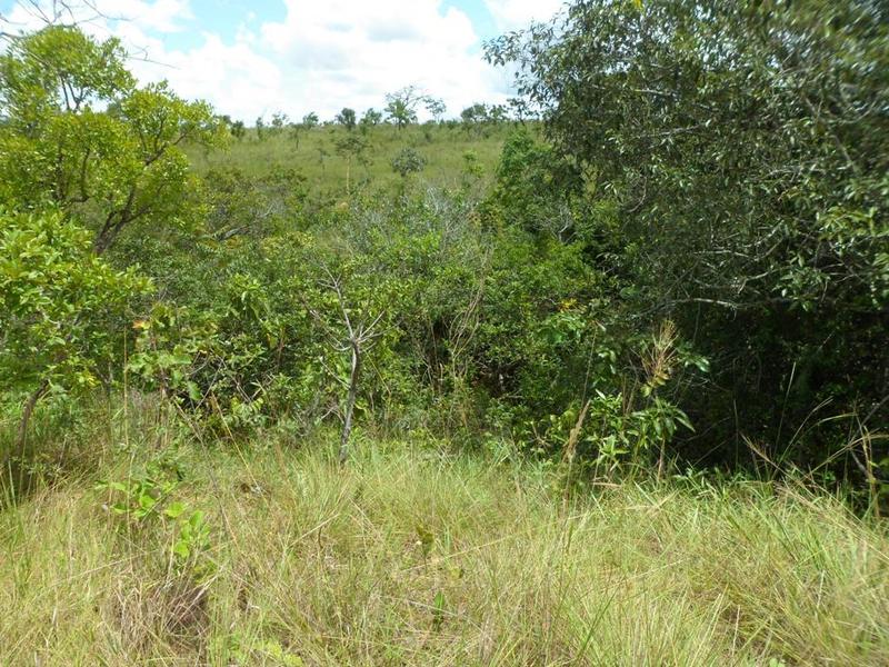 Trecho mais difícil: atravessando um fundo de vale com uma mata ciliar... - Hardest leg: crossing a bottom valley with riparian woods...