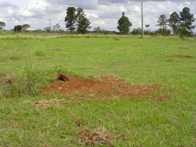 The "dirt" confluence point