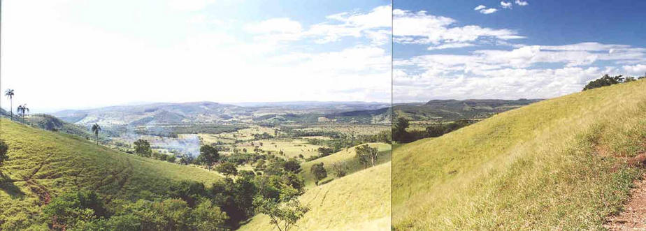 A view of soft face of high lands.