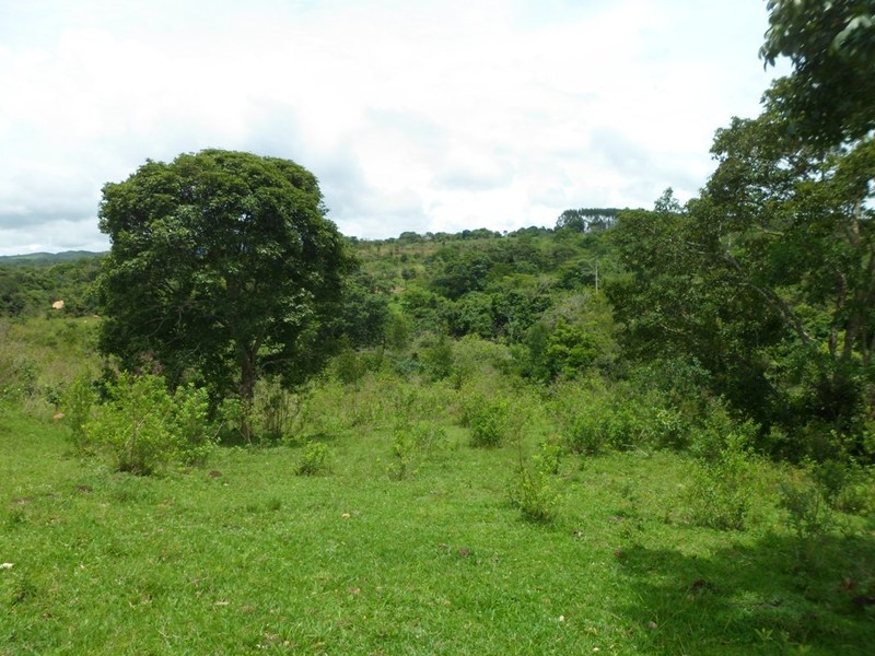 Visão geral - general view