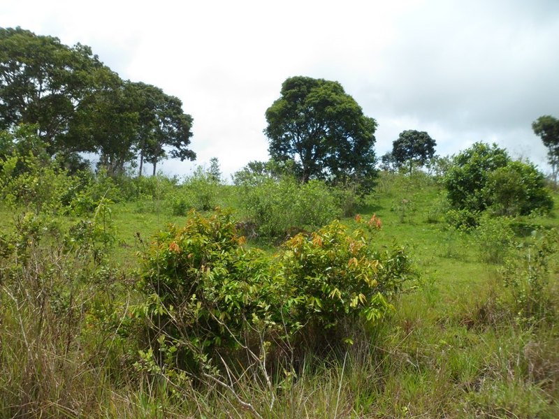 Visão oeste - west view