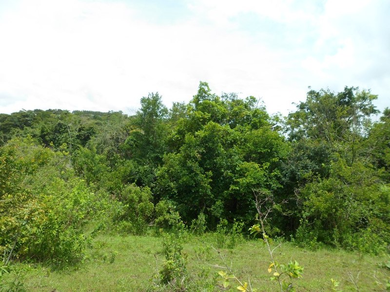 Visão leste - east view