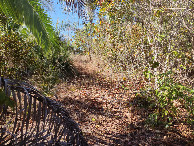 #5: Vis&atilde;o sul - south view