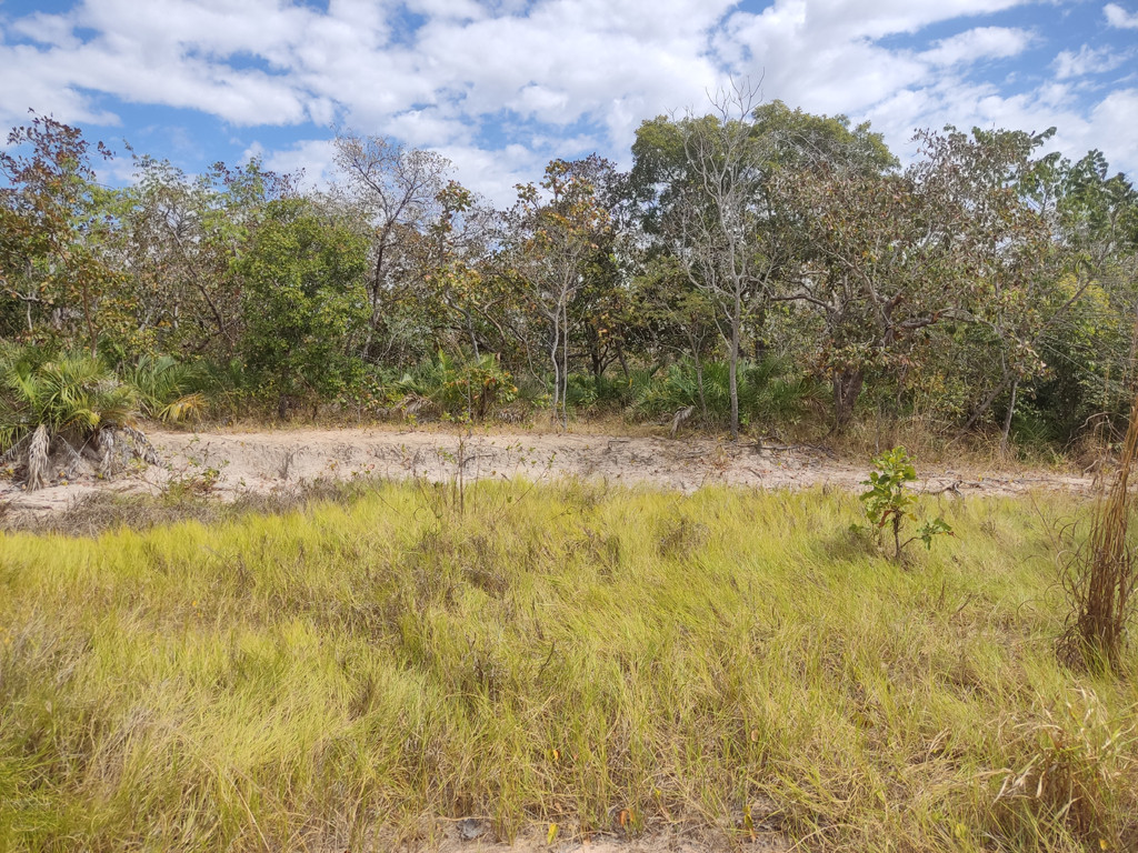 Confluência 90 metros adiante - confluence 90 meters ahead