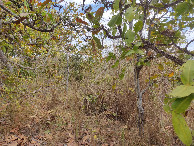 #2: Visão oeste - west view