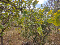 #3: Visão norte - north view