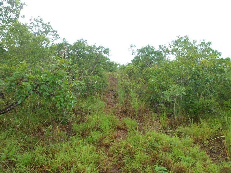 Visão oeste - west view