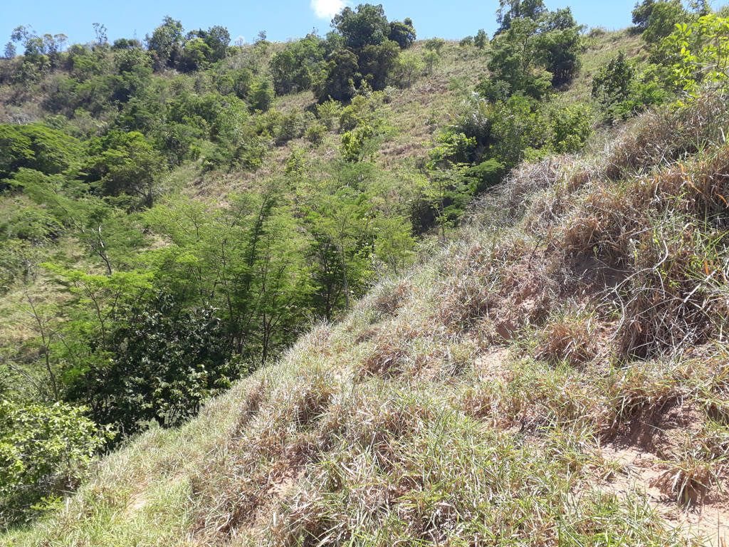 Visão geral - general view