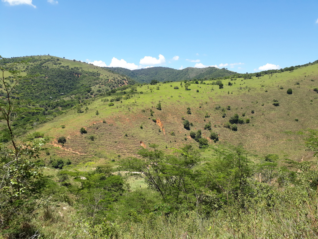 Visão oeste - west view