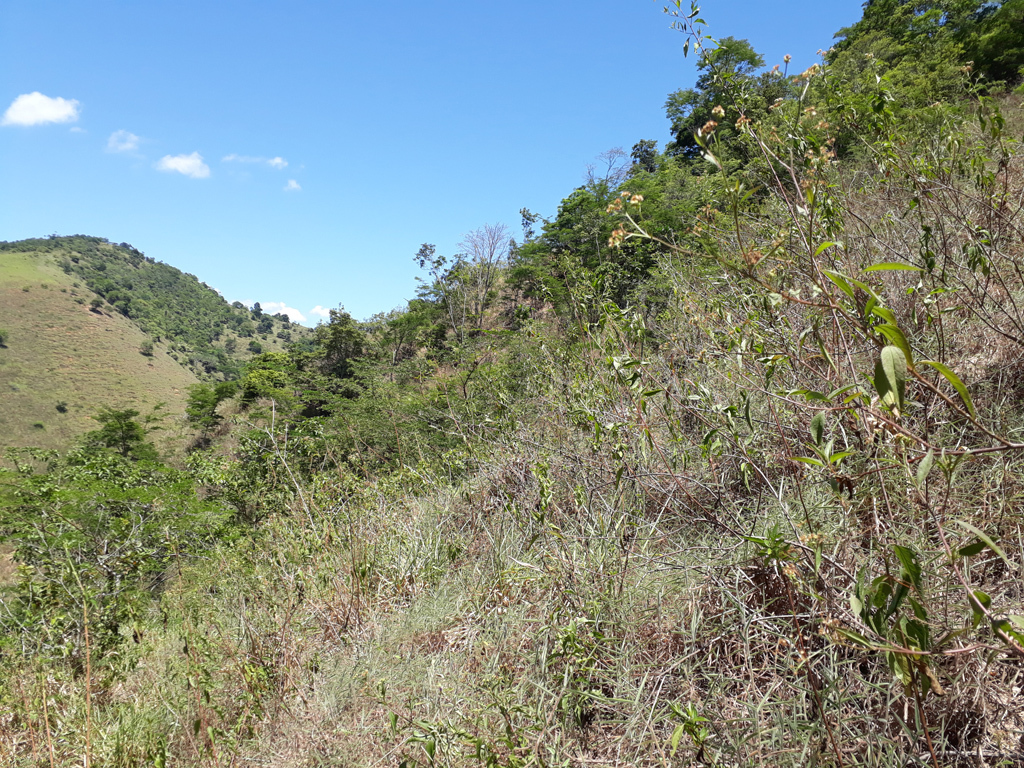 Visão norte - north view