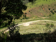 #7: Carro visto a partir da árvore no alto do morro - car viewed from the tree at the top of the mountain