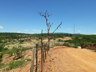 #4: Estrada de terra que vai até a confluência - dirt road that goes to the confluence