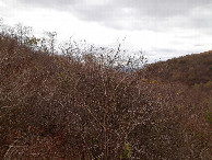 #3: Visão norte - north view