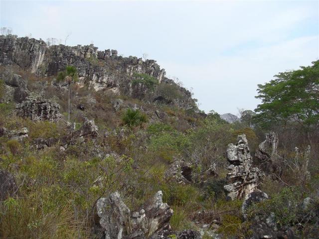 Vista da confluencia, a 300 m. -  General view fo CP area.