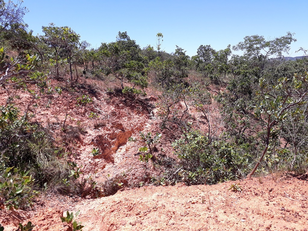 Caminhada - hiking