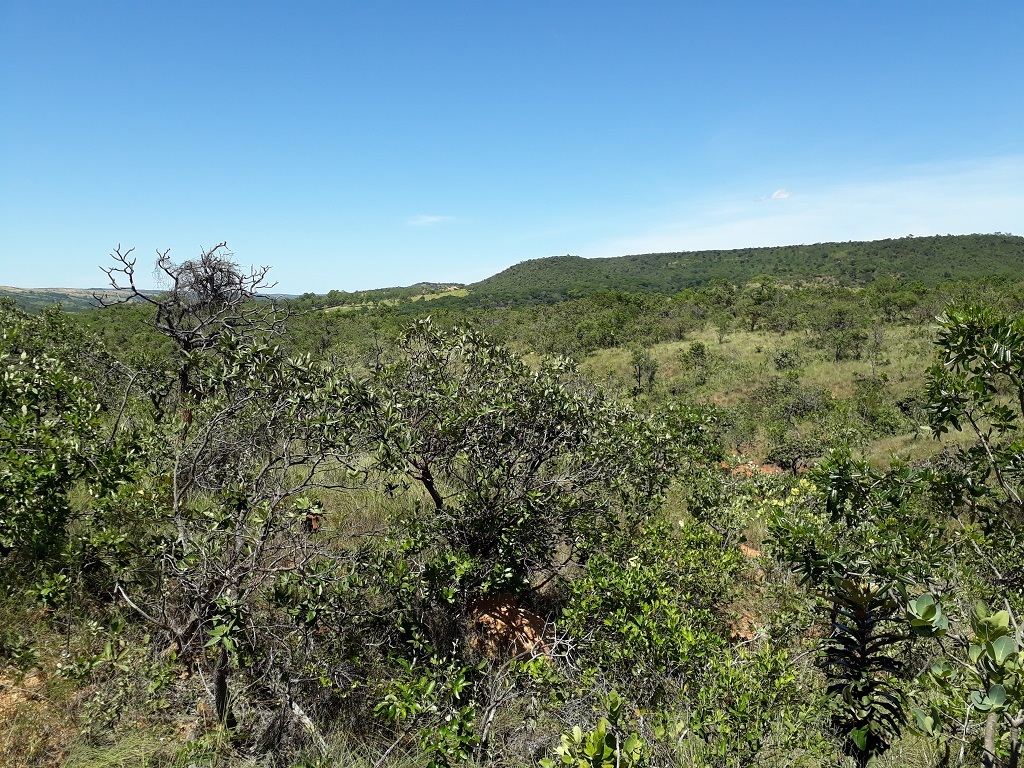 Visão geral - general view