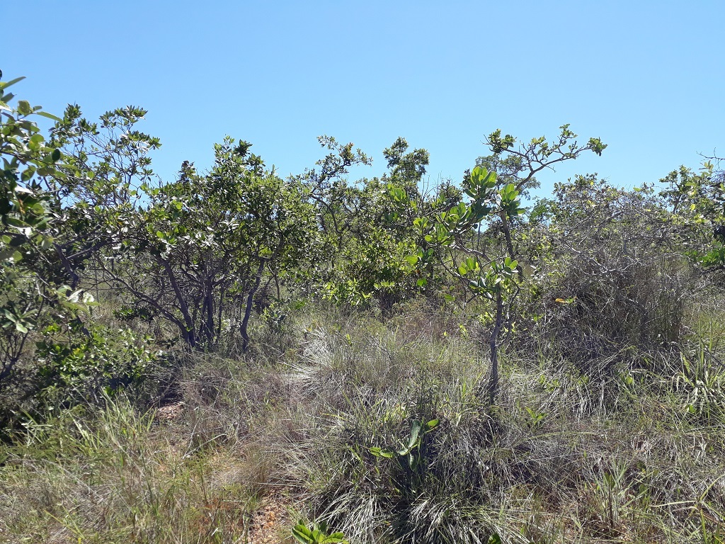 Visão leste - east view