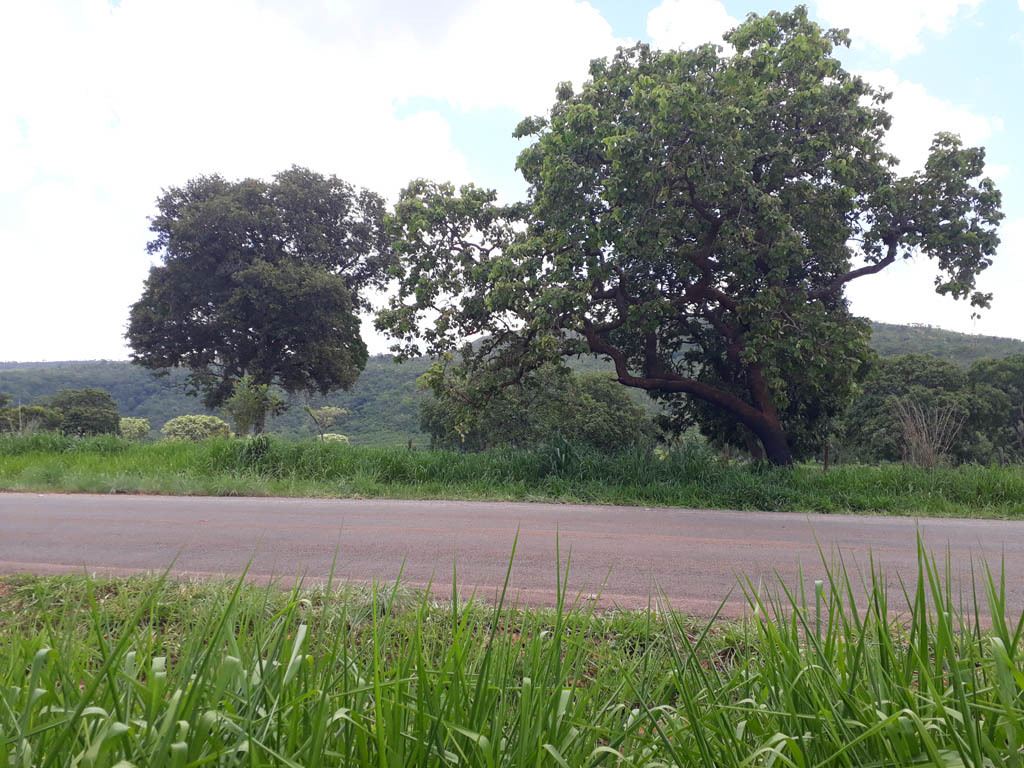 Visão norte - north view