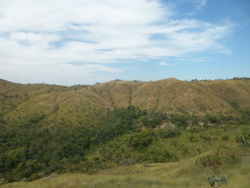 Visão geral - general view