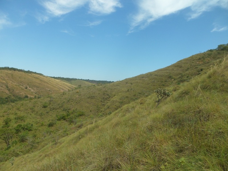 Visão oeste - west view