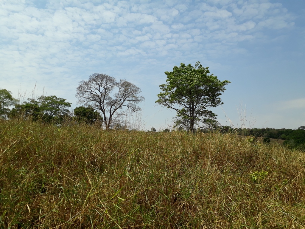 Visão sul - south view