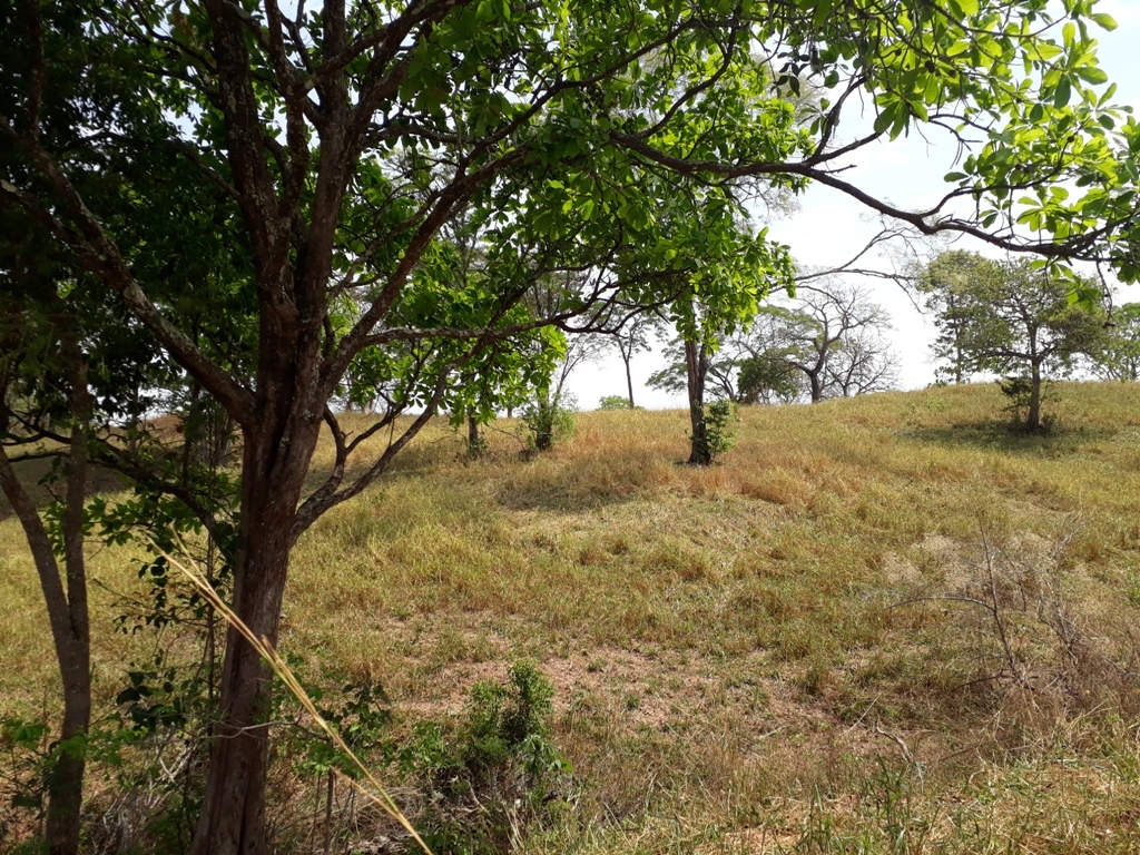 Visão norte - north view