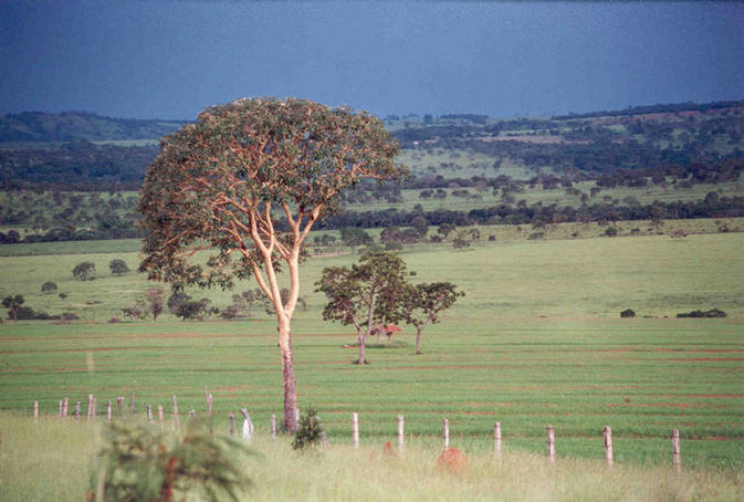 Landscape near the city of Bela Vista de Goiás